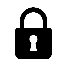 Beveiligingsexpert Limburg